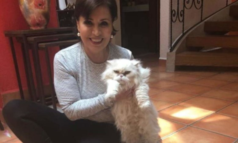 Rosario Robles Berlanga: su reclusión con sesgo discriminatorio de género