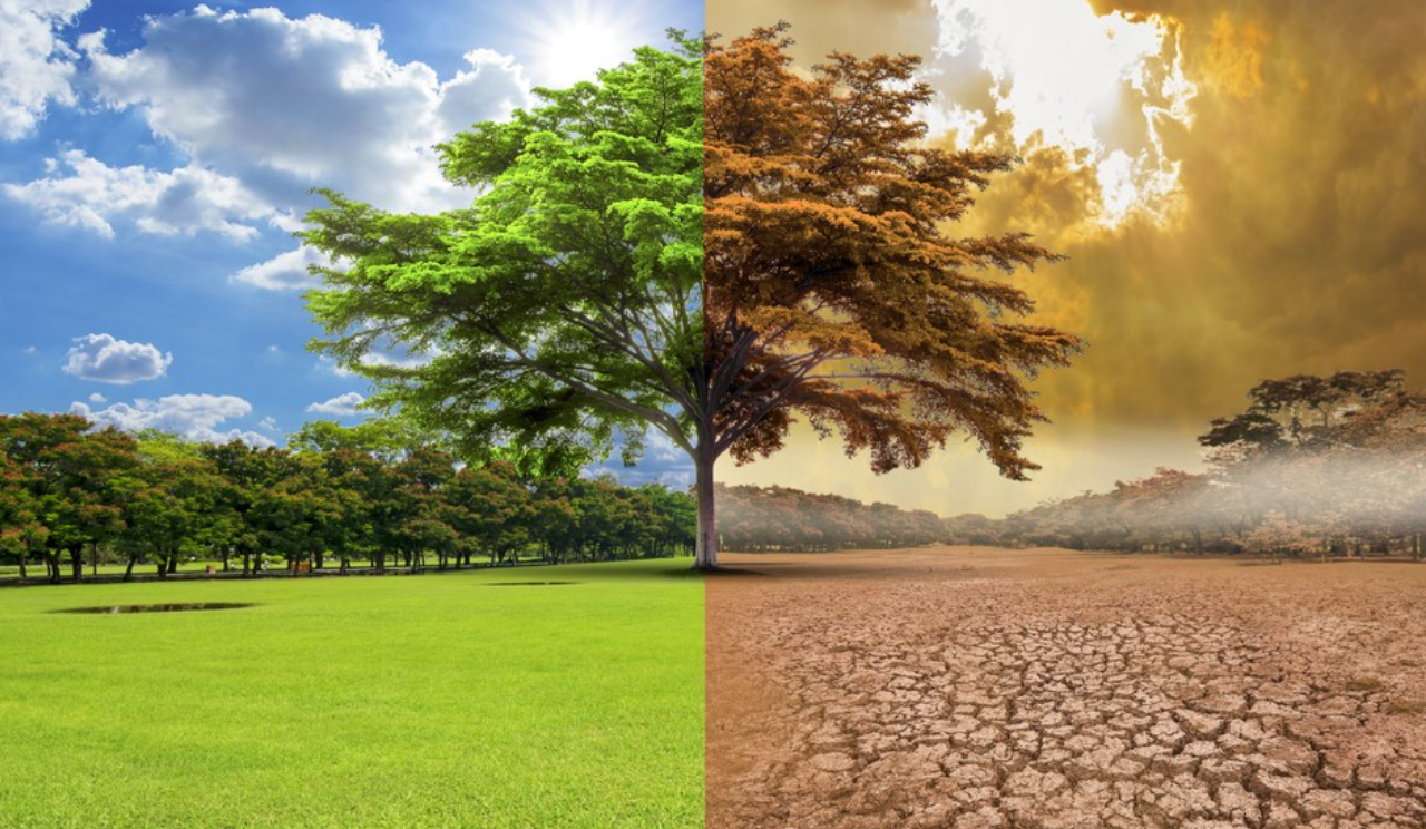 Importante incluir la perspectiva de género en la adaptación al cambio climático