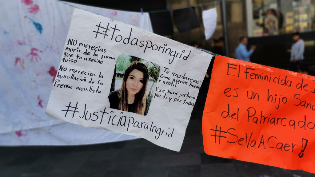 Aprobada “Ley Ingrid” en la CDMX