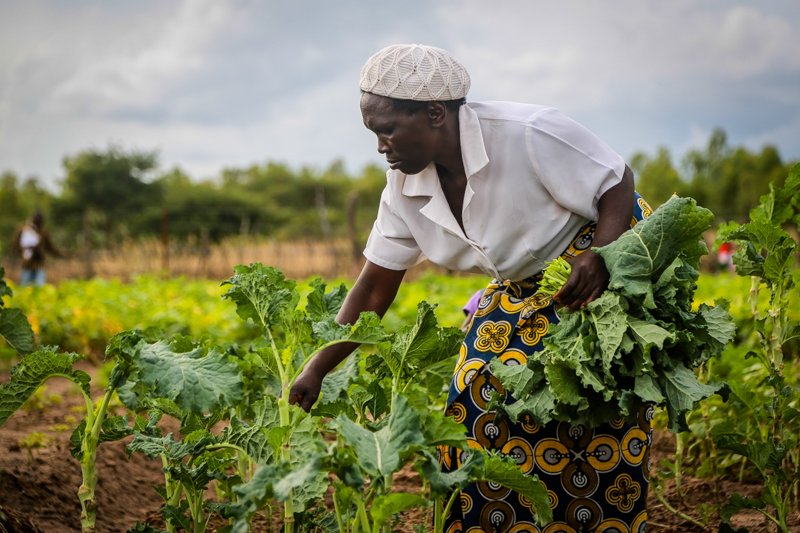 Sin tierra ni poder mujeres rurales producen el 50 por ciento de los alimentos
