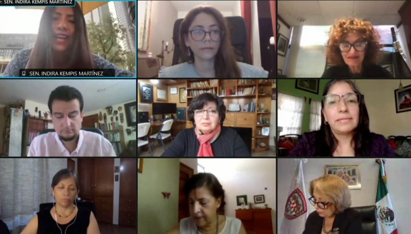 Preservar el estado de derecho y el acceso a la salud de las mujeres y niñas migrantes, se pidió en el Senado