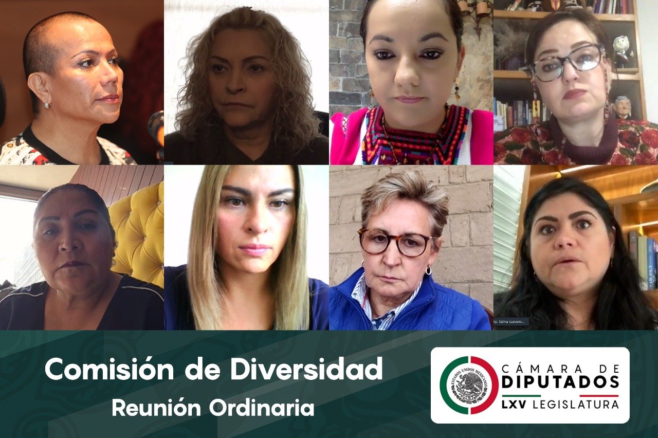 Reformas a la Ley Federal para Prevenir y Eliminar la Discriminación avala la Comisión de Diversidad