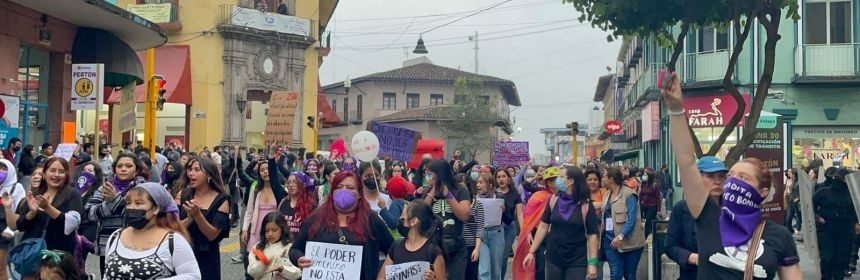 <strong>Jornada por el Día Internacional de la Eliminación de la Violencia contra la Mujer en Veracruz</strong>